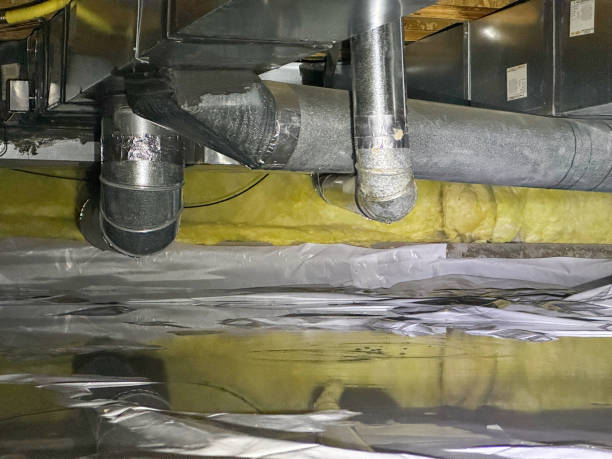 Best Emergency water damage restoration  in Spring Grove, MN